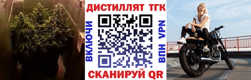 ТГК вейп  кракен маркетплейс  Скопин  цена  