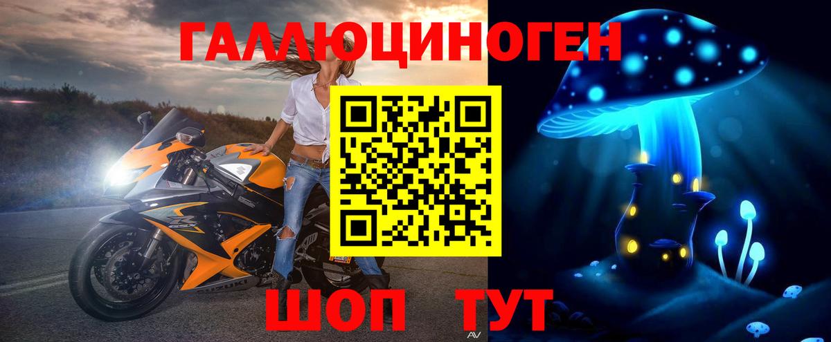 Скопин  Галлюциногенные грибы прущие грибы  Вход с VPN  Псилоцибиновые грибы мицелий 