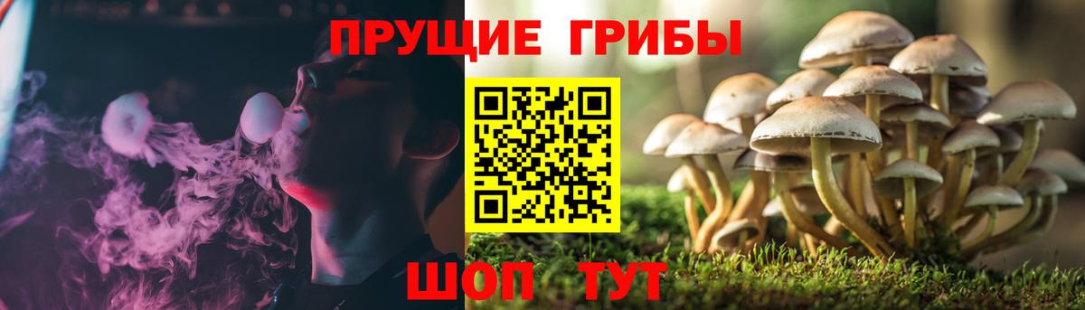 Галлюциногенные грибы мухоморы Скопин